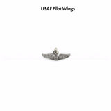 US Air Force Pilot Wings Wine Charm